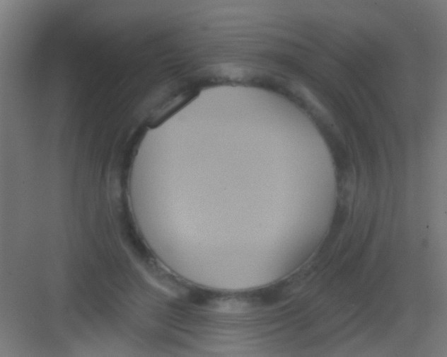 X0000081300500200702082048