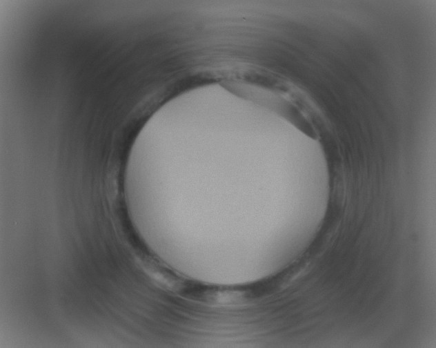 X0000081300501200702082048