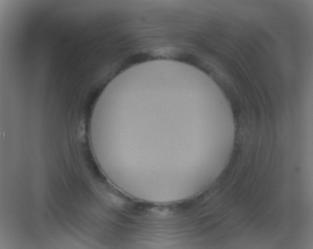 X0000081300502200702082048