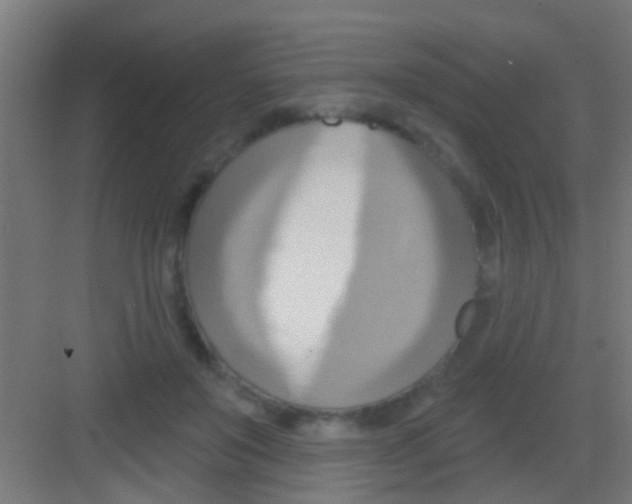 X0000081300503200702082048