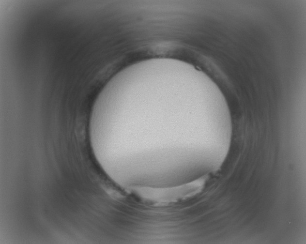 X0000081300505200702082048