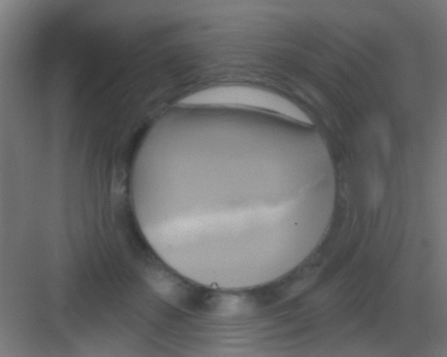 X0000081300507200702082048