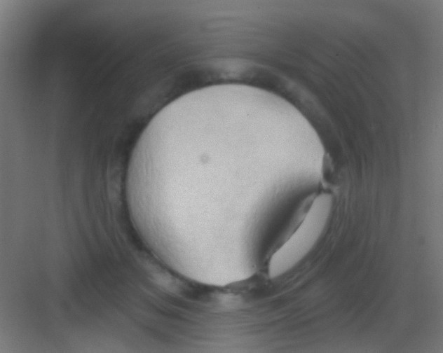 X0000081300509200702082048