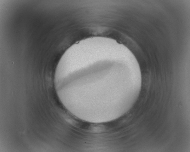 X0000081300510200702082048