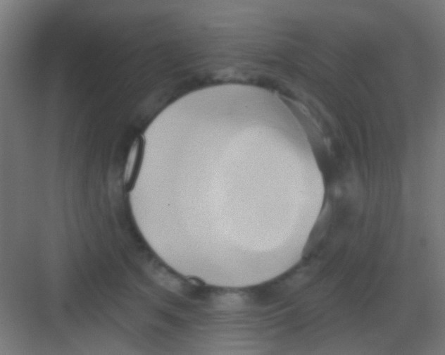 X0000081300513200702082048