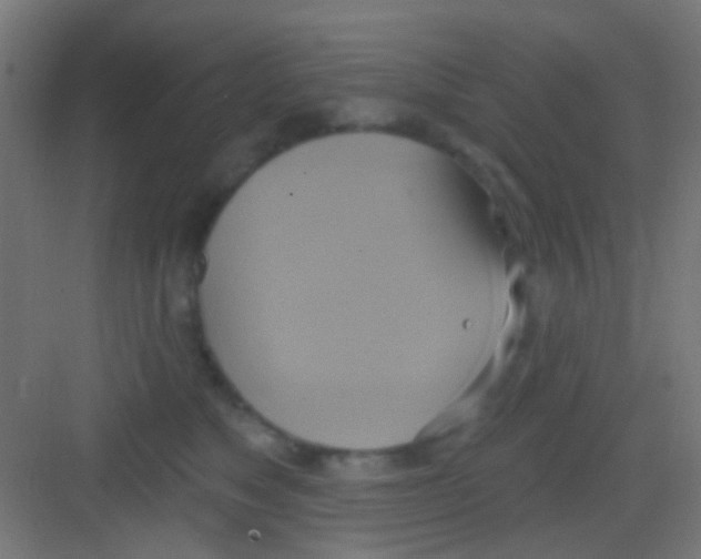 X0000081300517200702082048