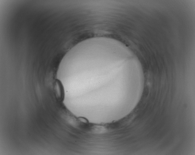 X0000081300519200702082048