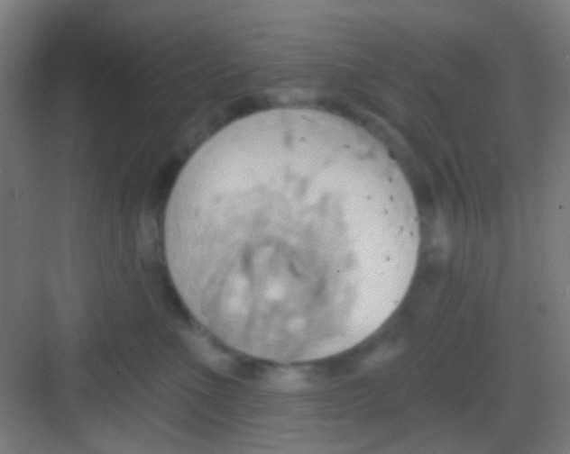 X0000081300523200702082048