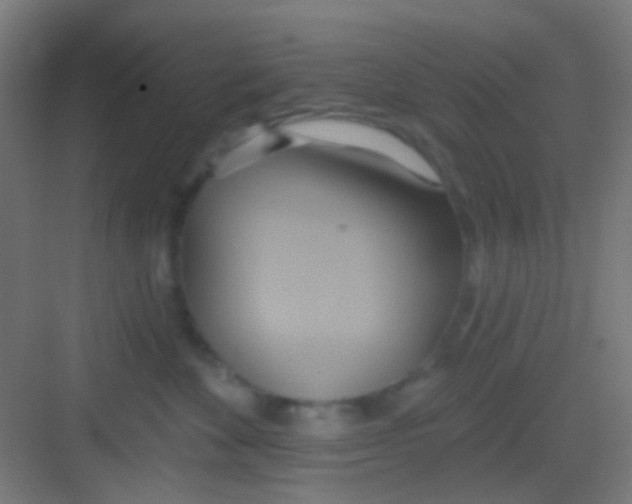 X0000081300524200702082047