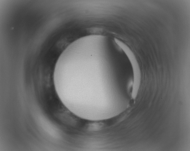 X0000081300525200702082047