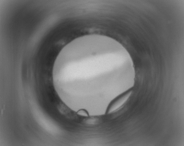 X0000081300527200702082047