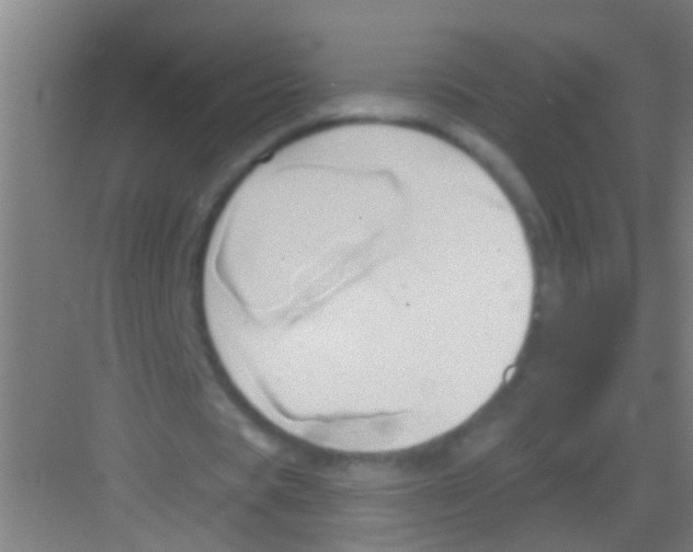 X0000081300529200702082047