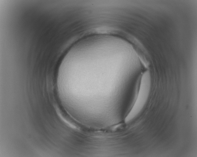 X0000081300530200702082047