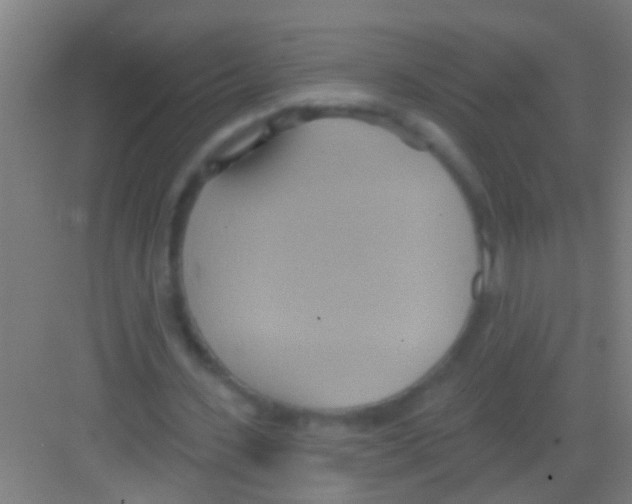 X0000081300531200702082047