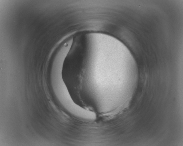 X0000081300532200702082047