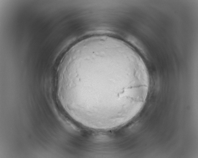 X0000081300534200702082047