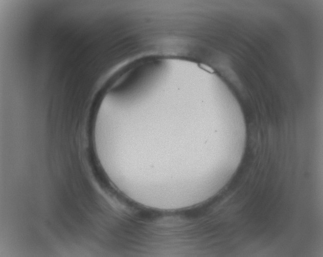 X0000081300536200702082047