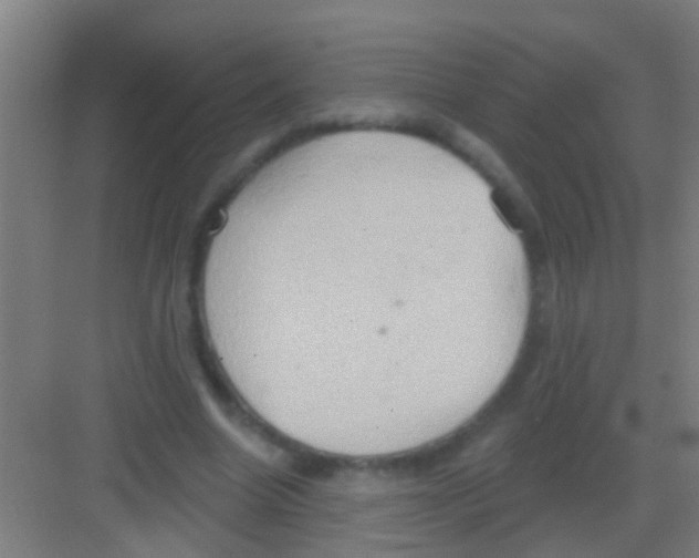 X0000081300538200702082047