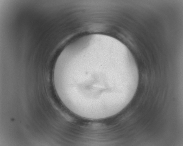 X0000081300539200702082047