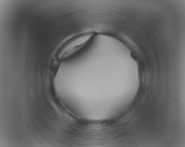 X0000081300540200702082047