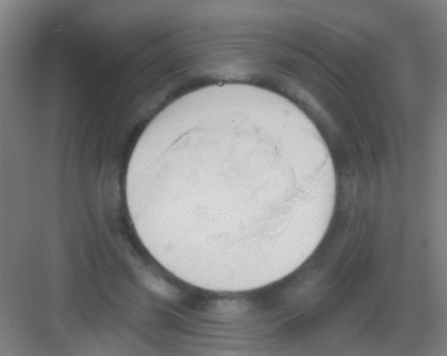 X0000081300541200702082047