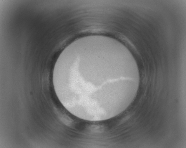 X0000081300542200702082047