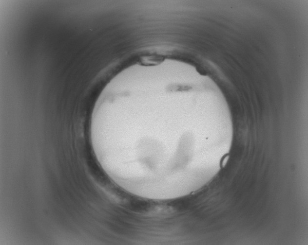 X0000081300543200702082047