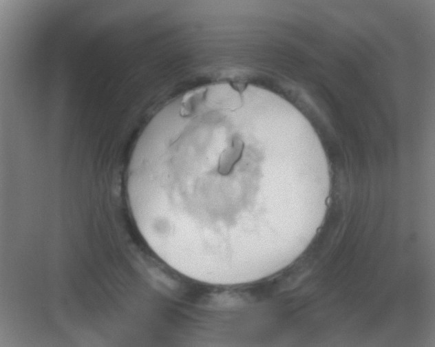 X0000081300545200702082047