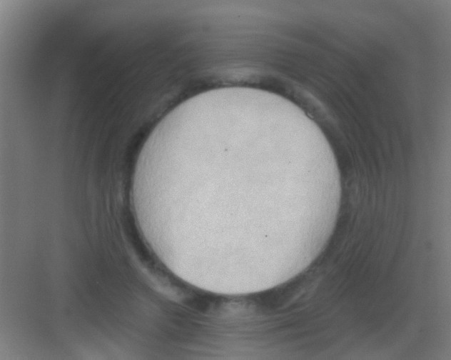 X0000081300546200702082047