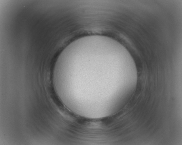 X0000081300548200702082047