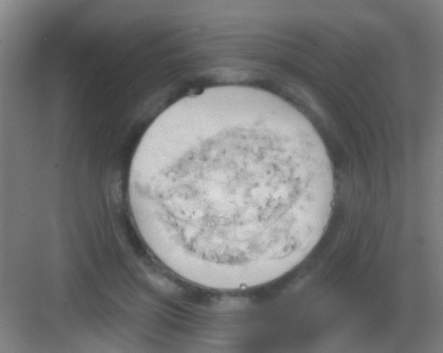 X0000081300549200702082047