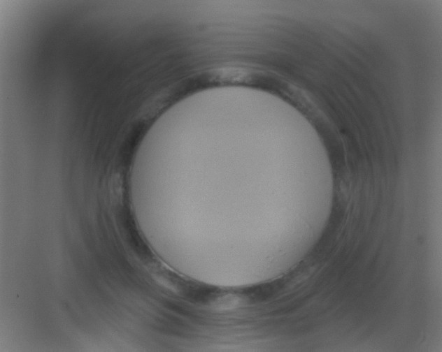 X0000081300551200702082047