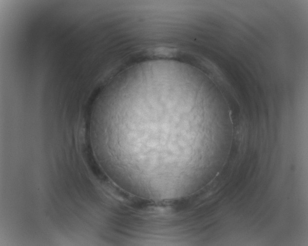 X0000081300552200702082047