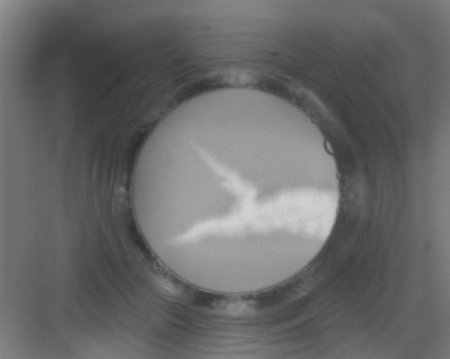 X0000081300553200702082047