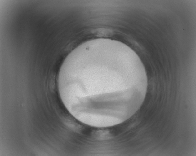 X0000081300554200702082047