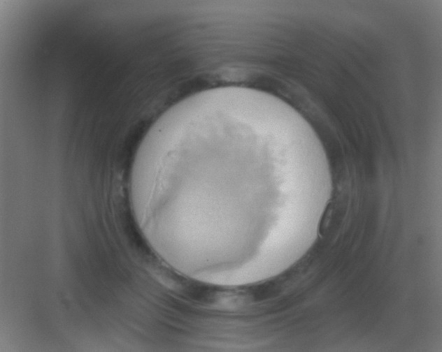 X0000081300555200702082047