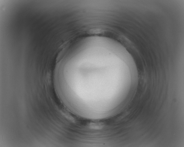 X0000081300556200702082047