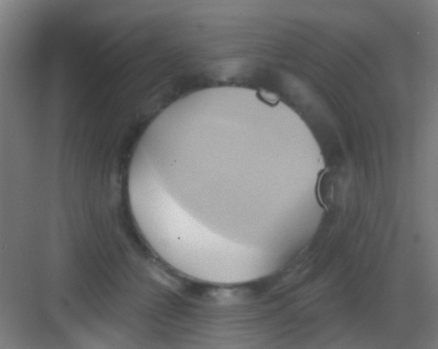 X0000081300558200702082047