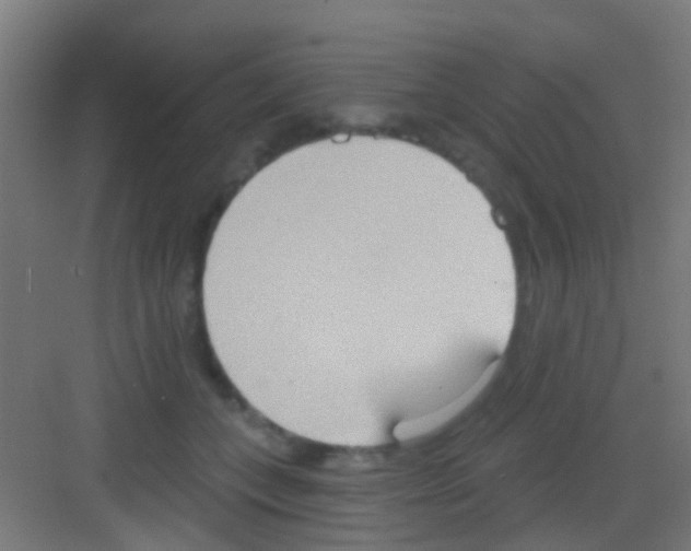 X0000081300559200702082047