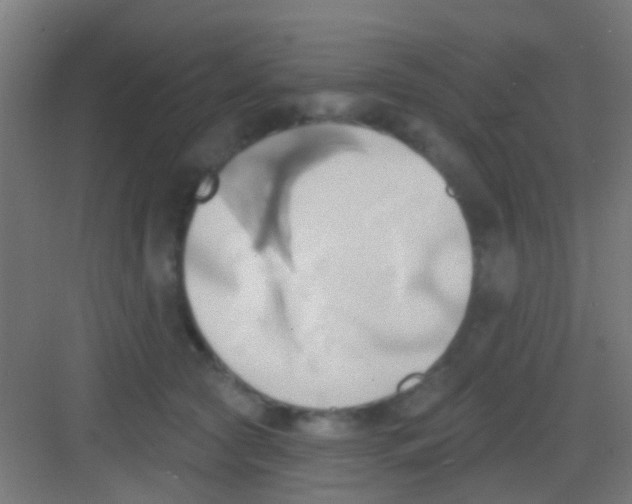 X0000081300561200702082047