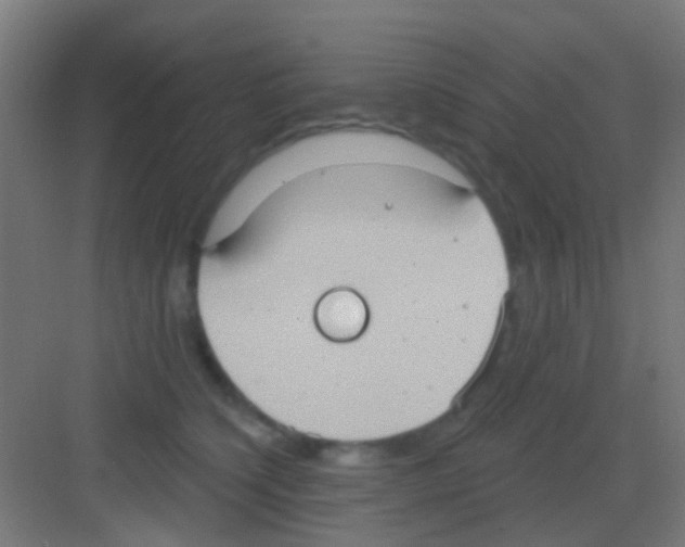 X0000081300564200702082047