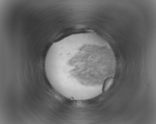 X0000081300565200702082047