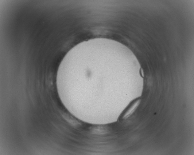 X0000081300567200702082047