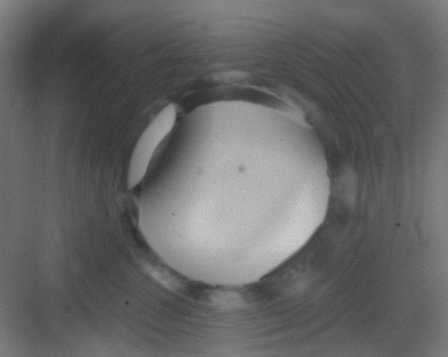 X0000081300572200702082047