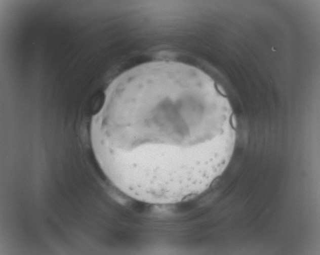 X0000081300573200702082047