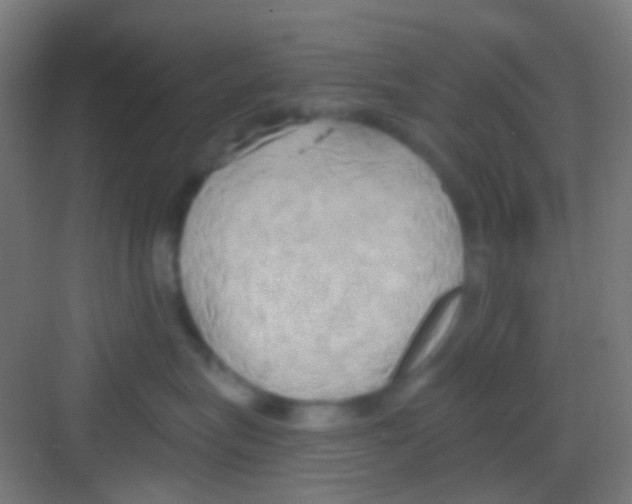 X0000081300575200702082047