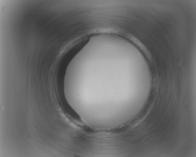 X0000081300577200702082047