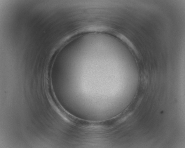 X0000081300581200702082047