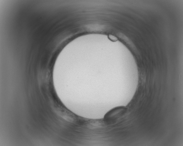 X0000081300583200702082047