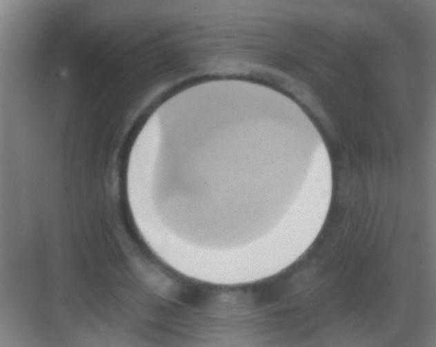 X0000081300584200702082046